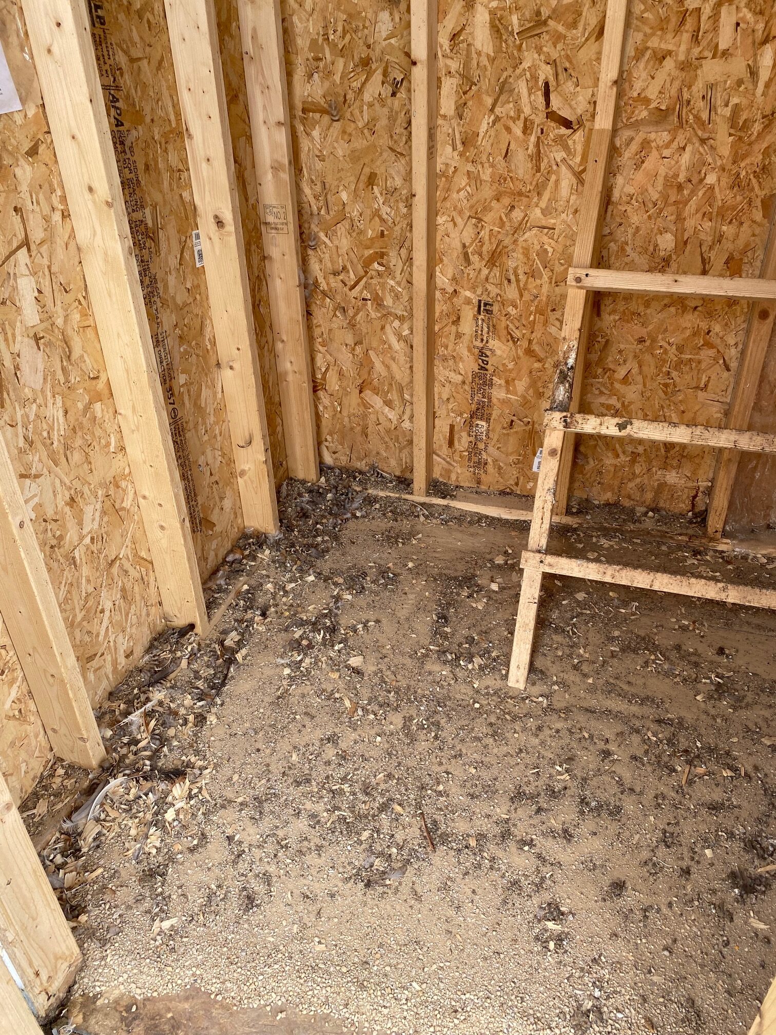 8x10 Chicken Coop - Image 4